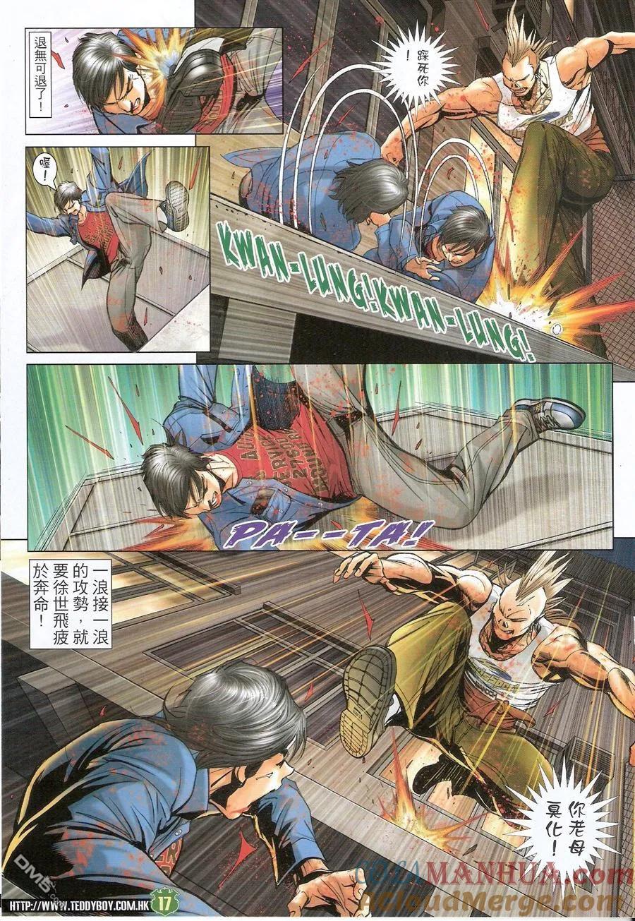 第17页