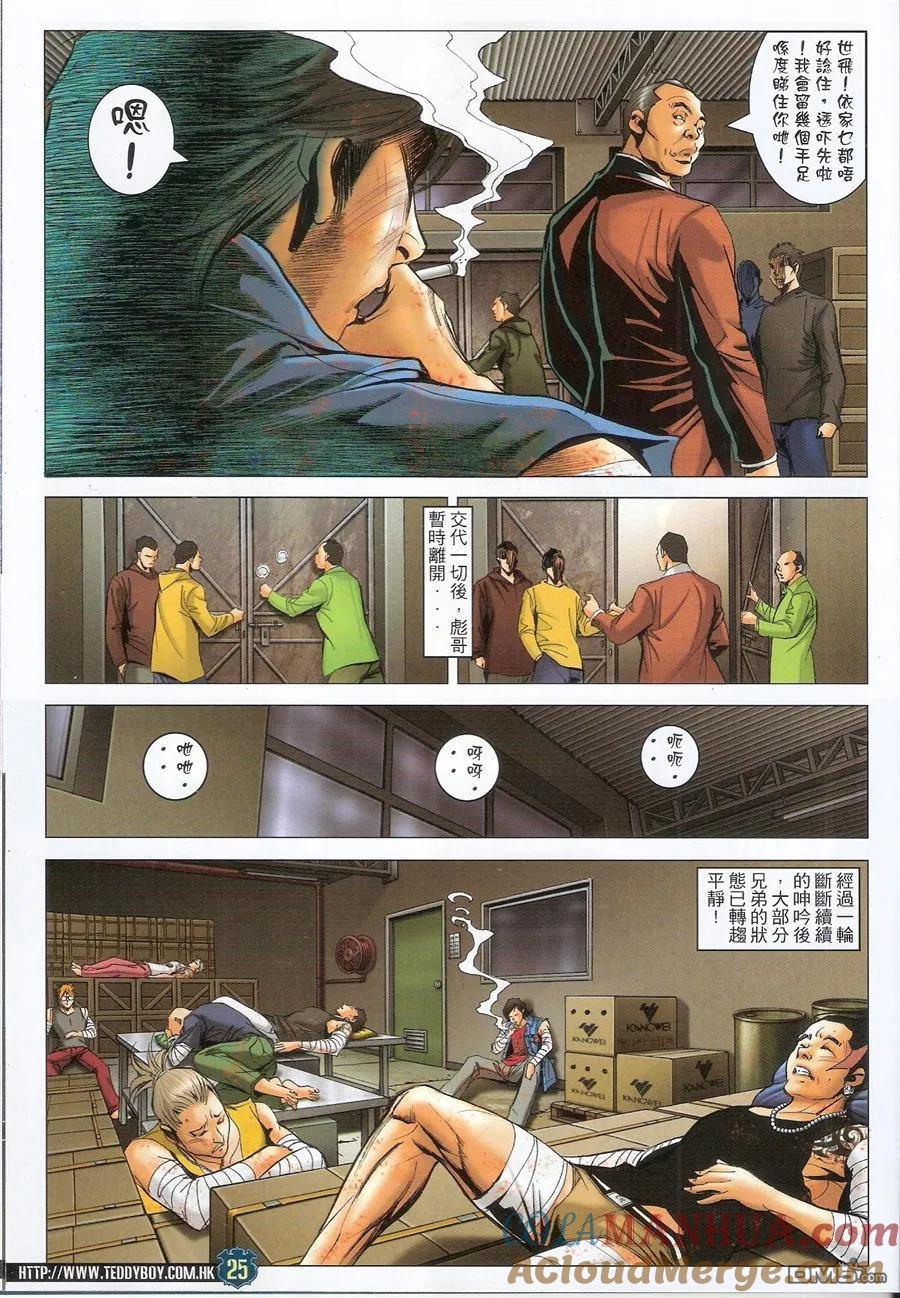第25页
