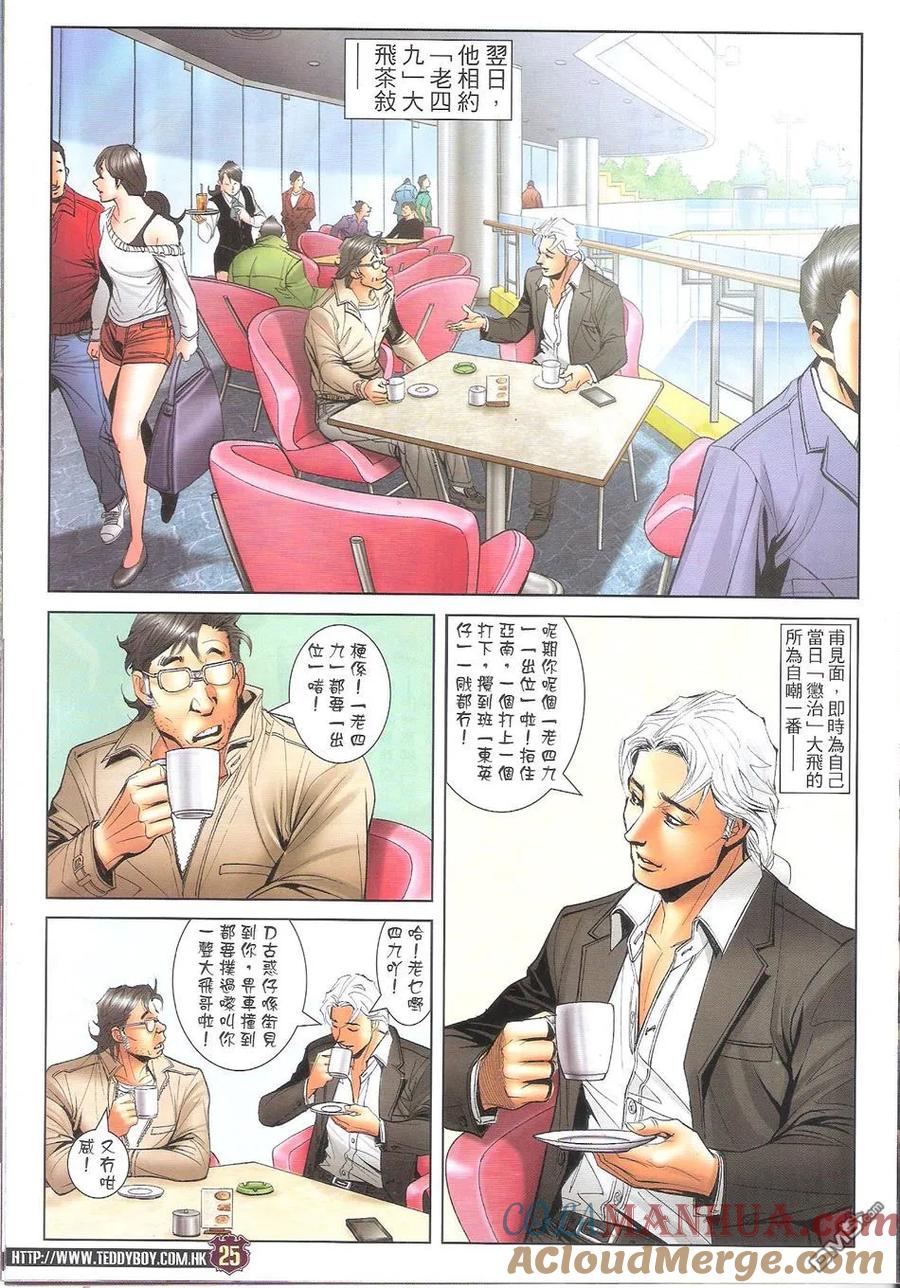 第25页