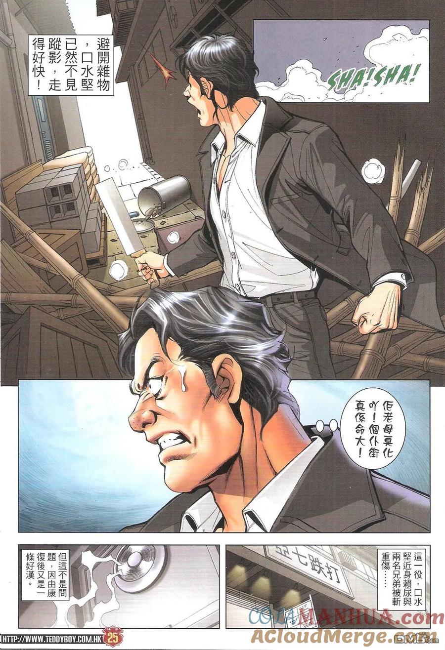第25页