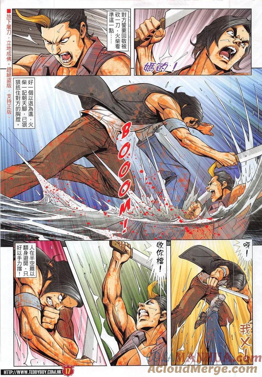 第17页