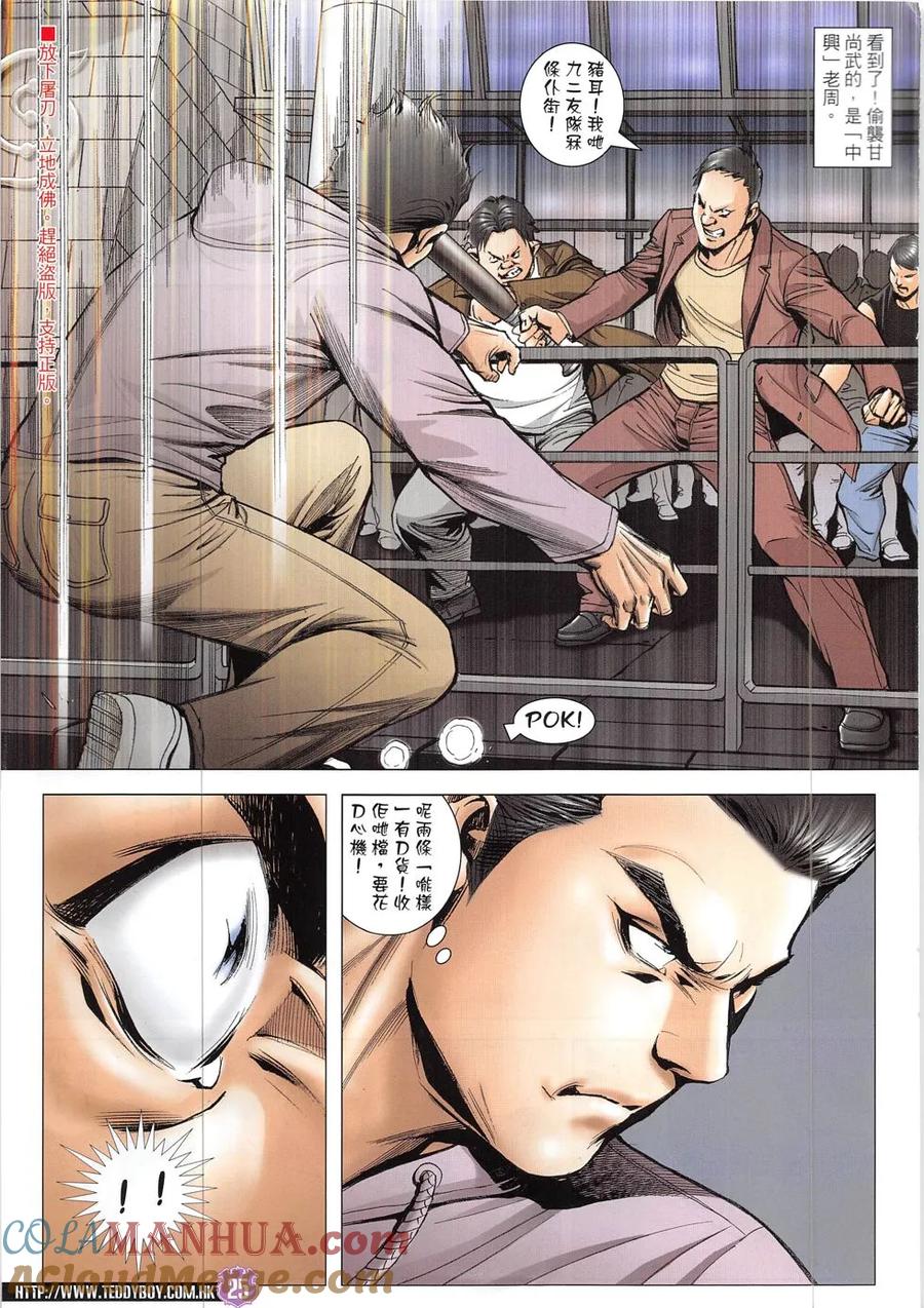 第25页