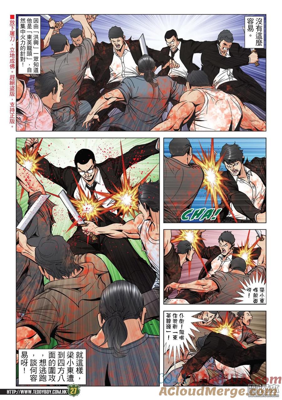 第25页