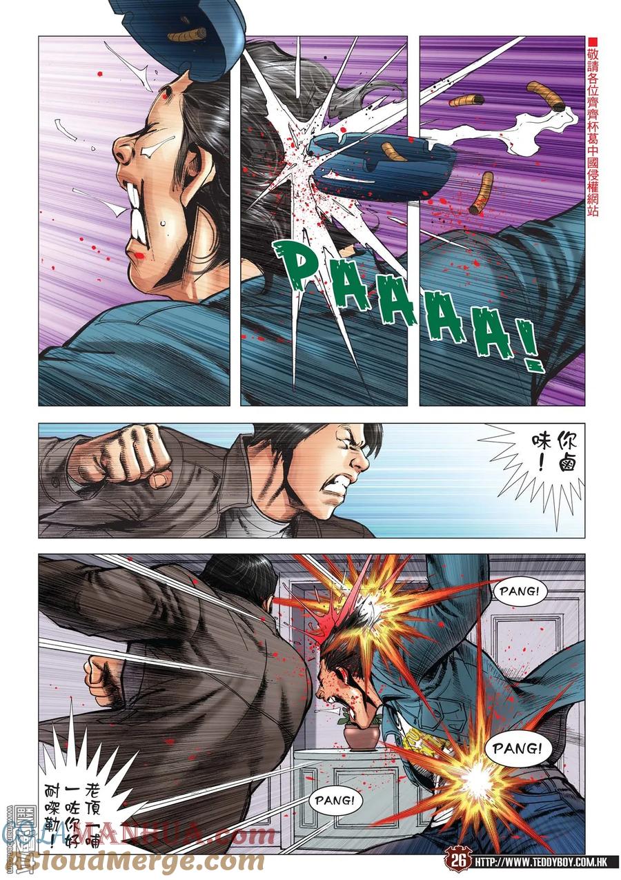 第25页