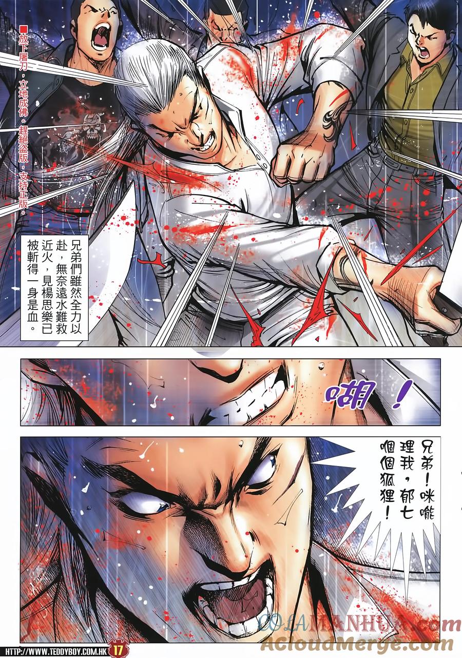 第17页