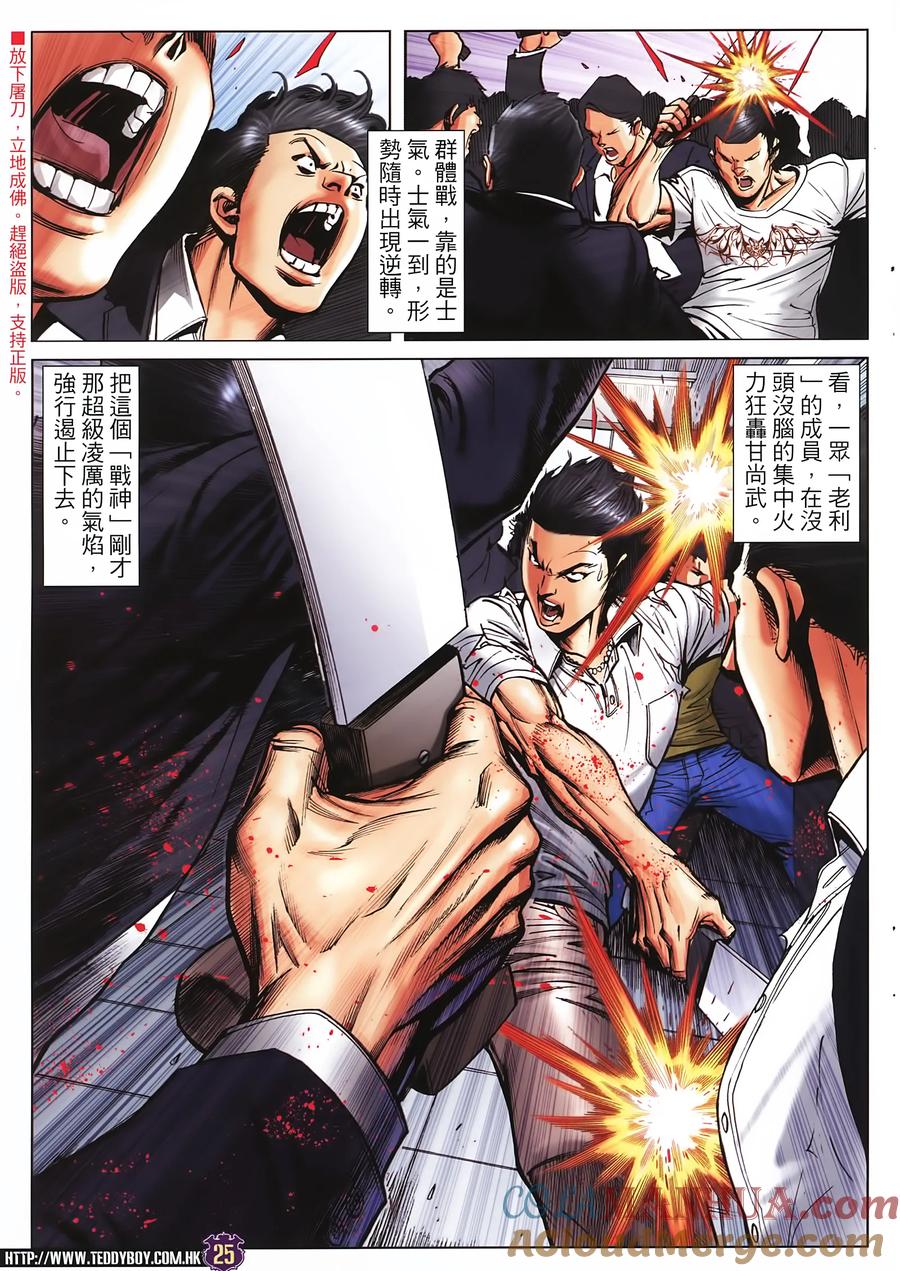 第25页