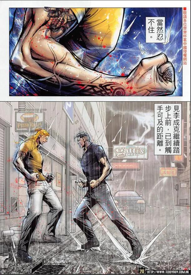第20页