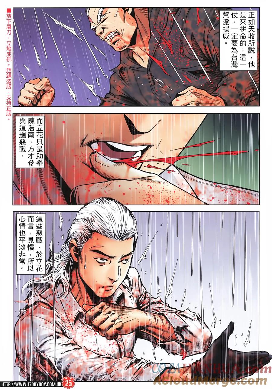 第25页