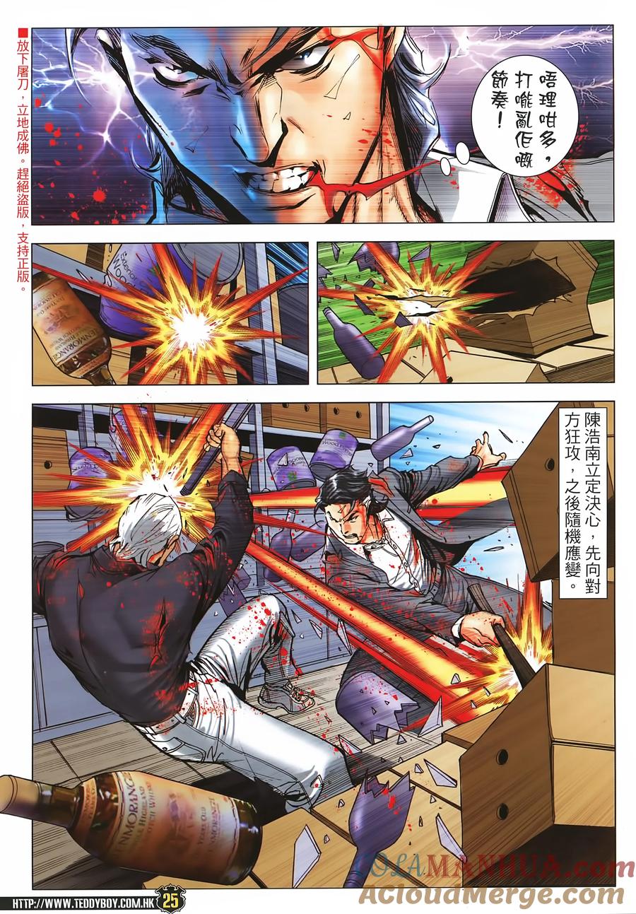 第25页
