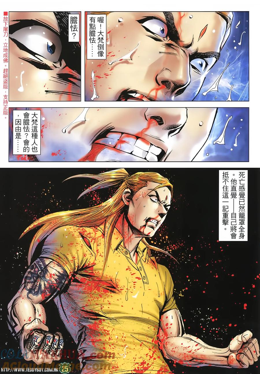 第25页