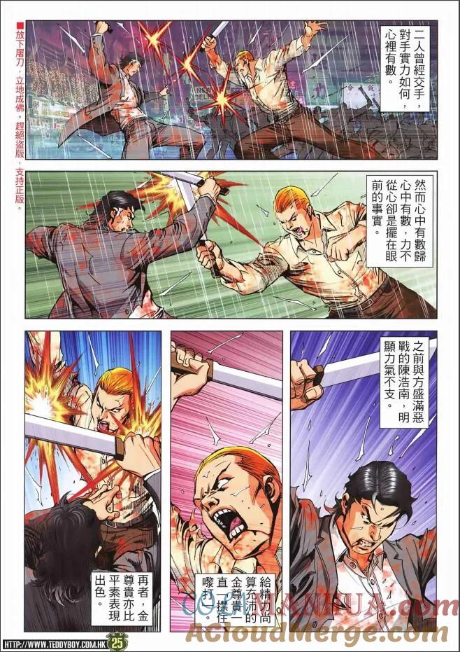 第25页