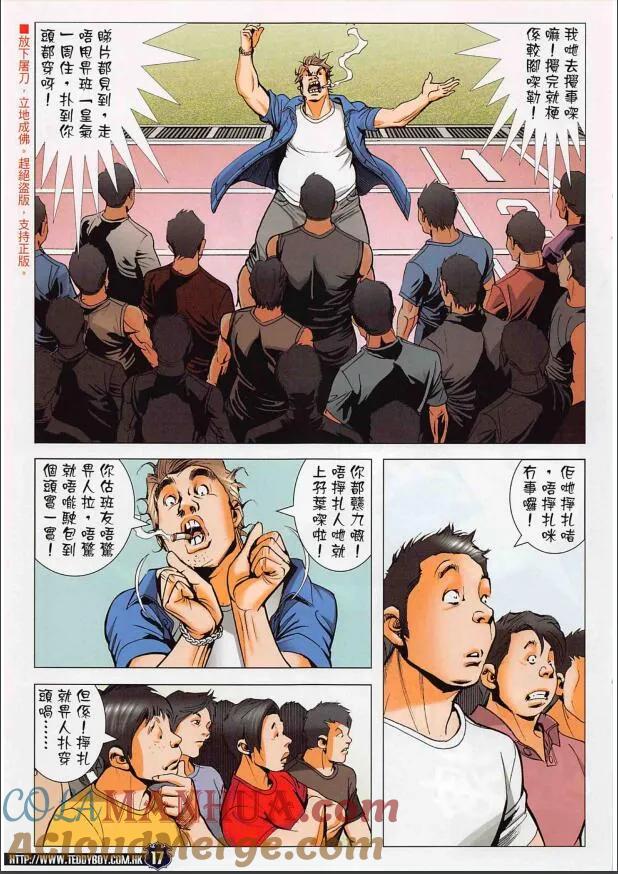 第17页