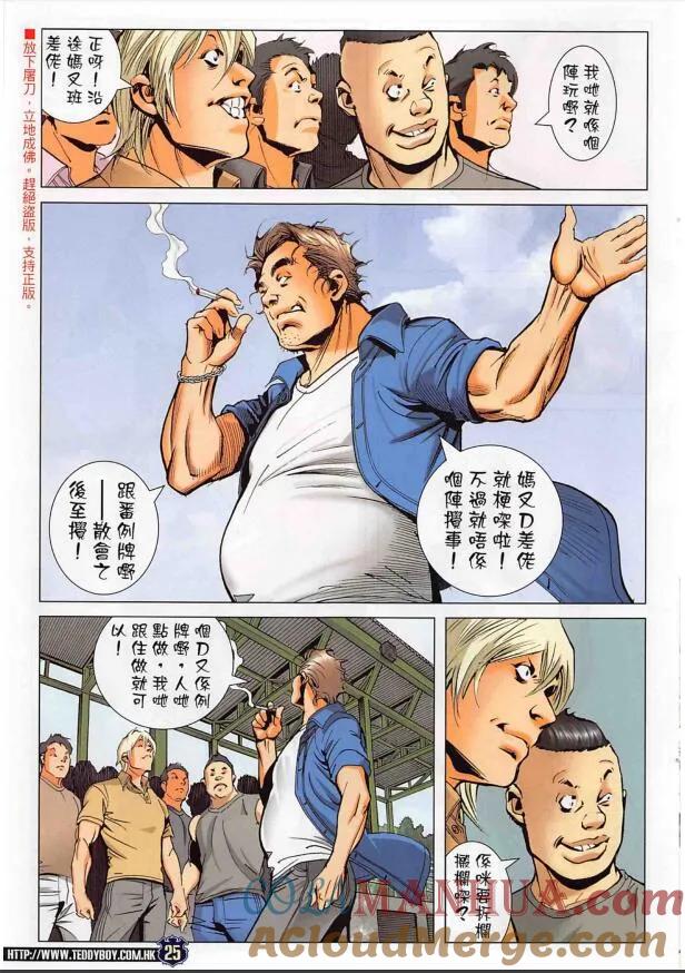 第25页
