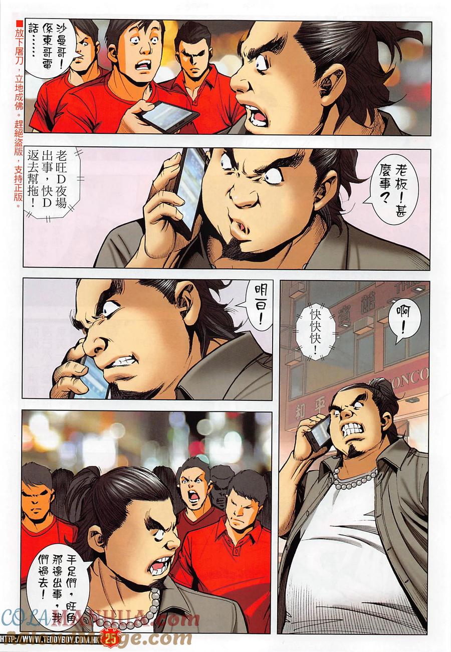 第25页