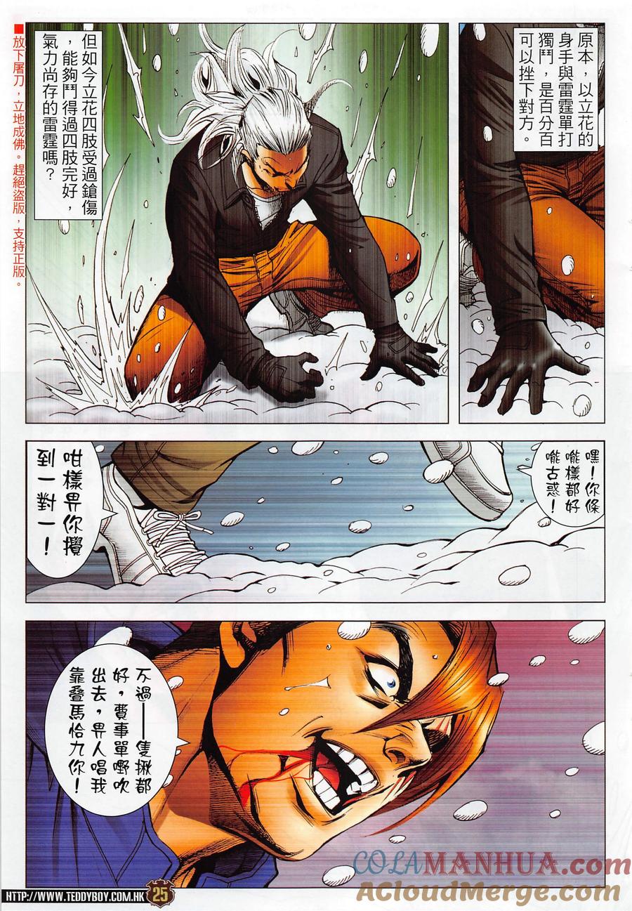 第25页