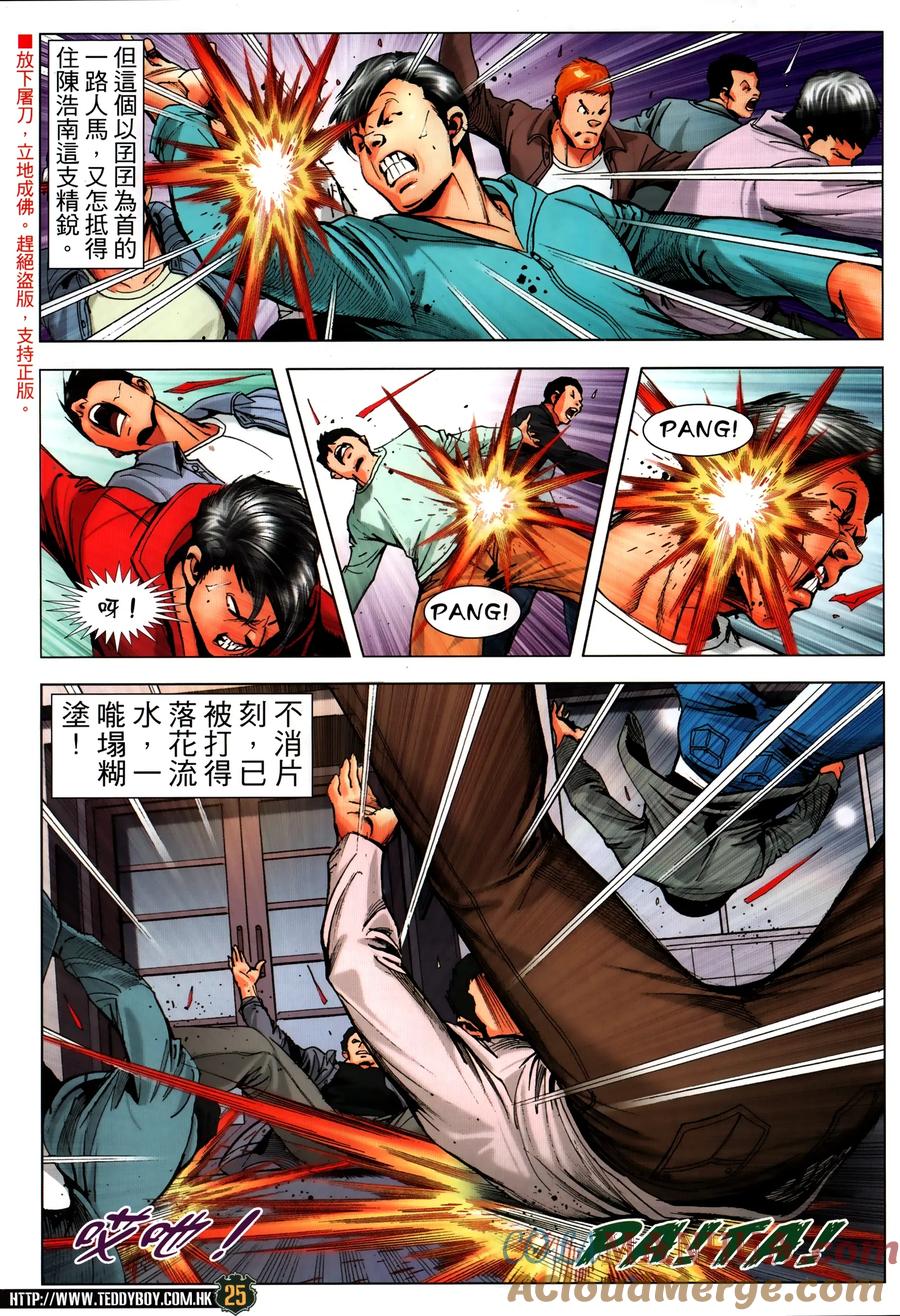 第25页