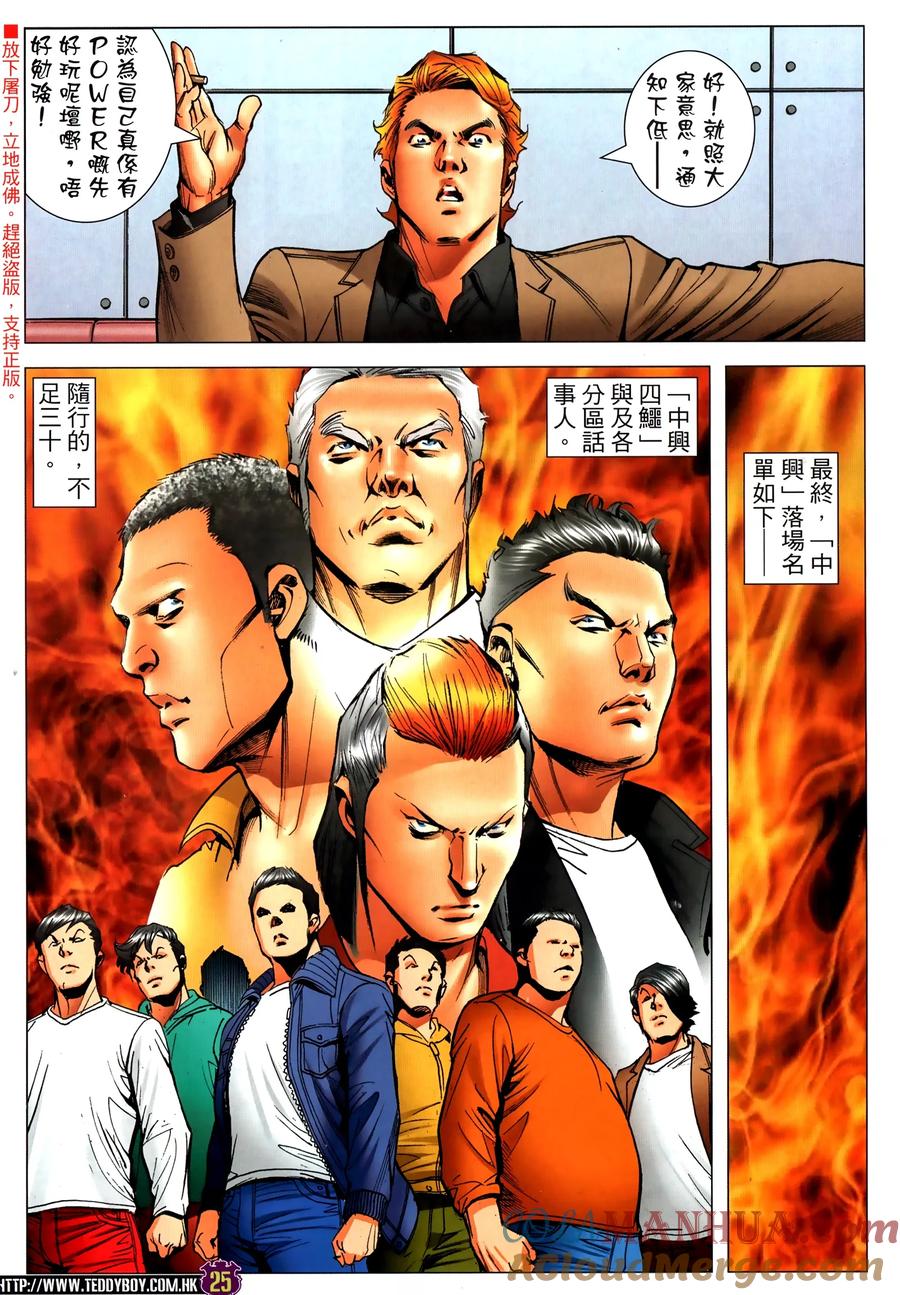 第25页