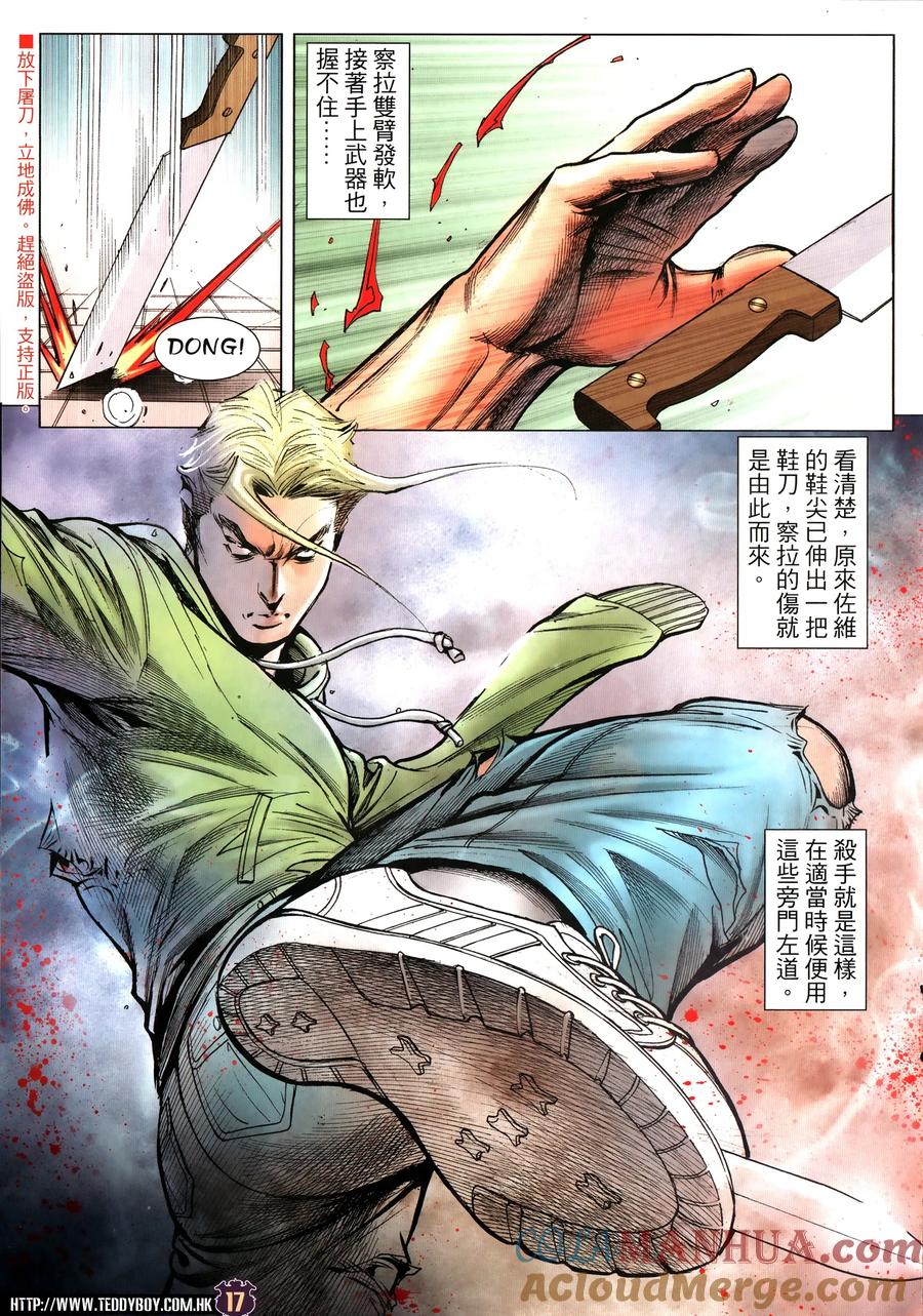 第17页