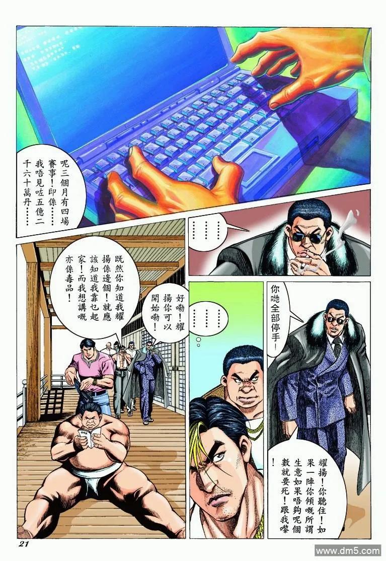 第20页