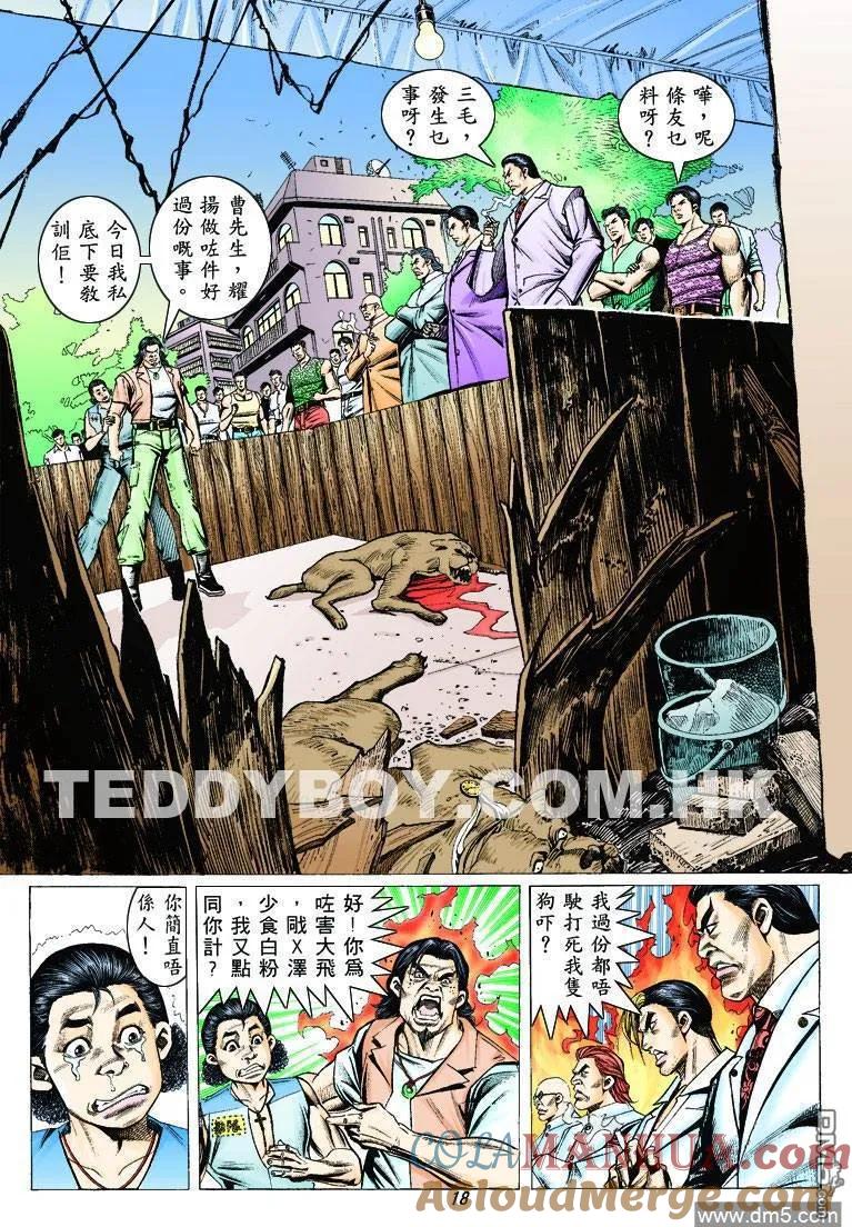 第17页
