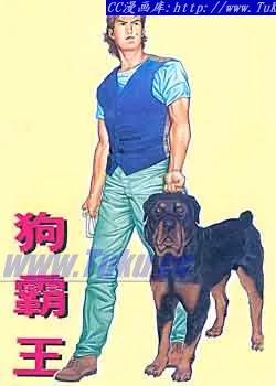第2页