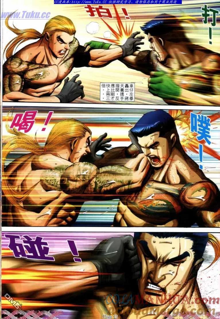 第13页