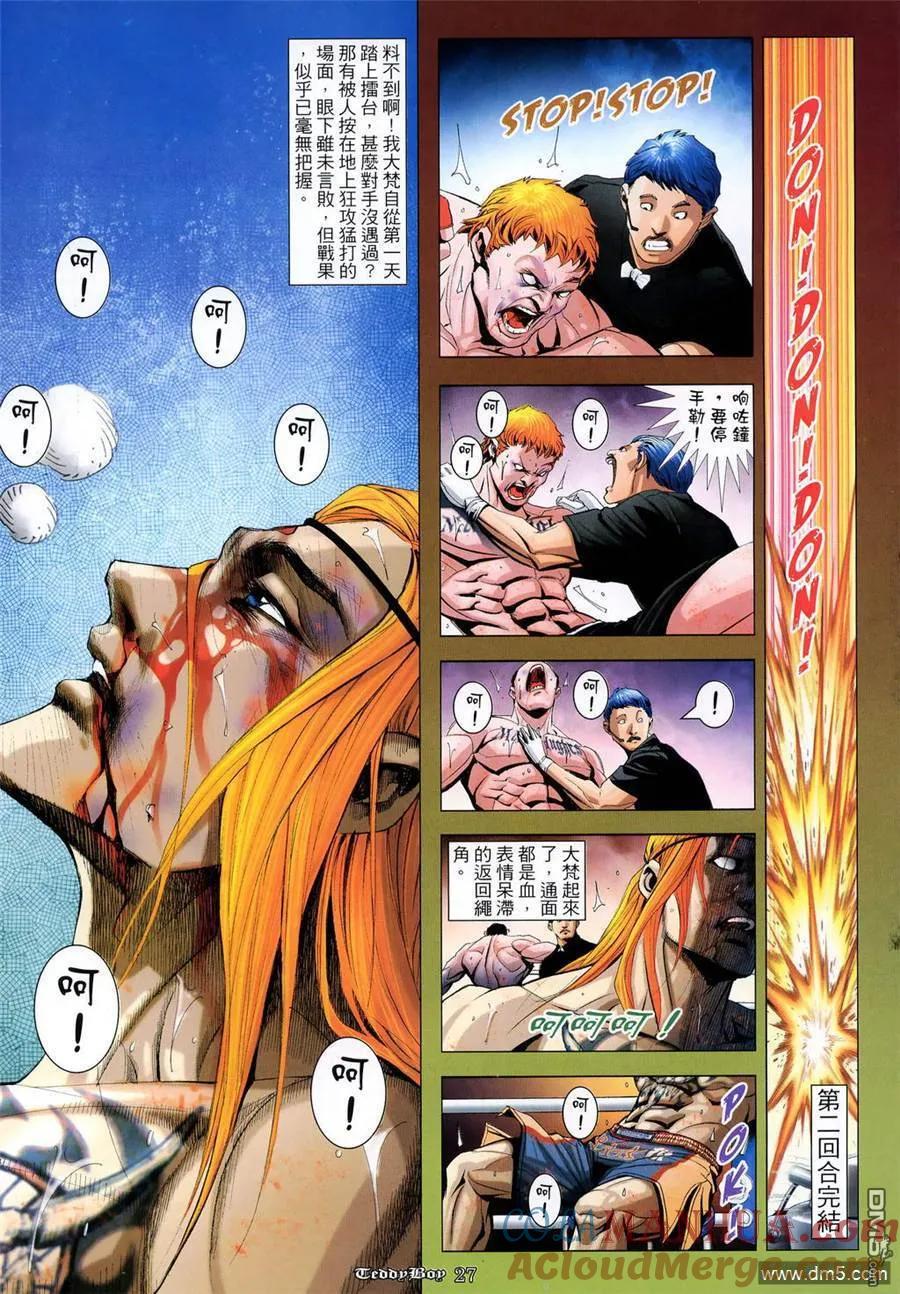 第25页