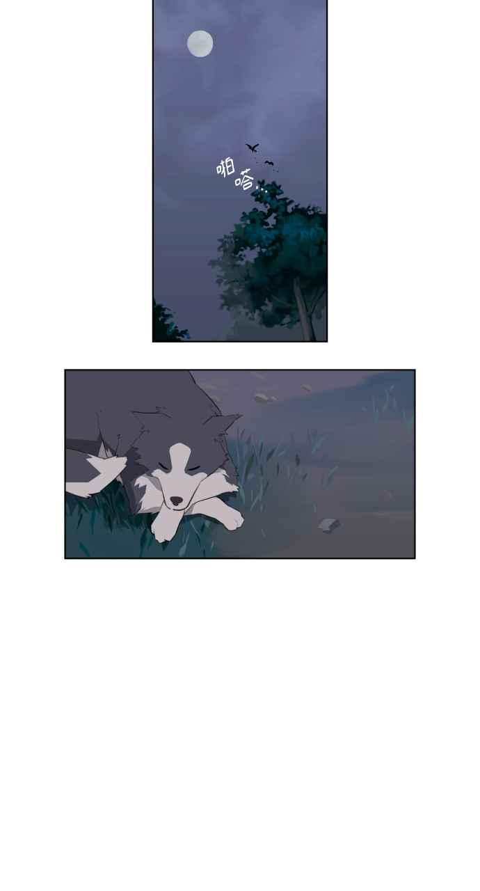 第47页