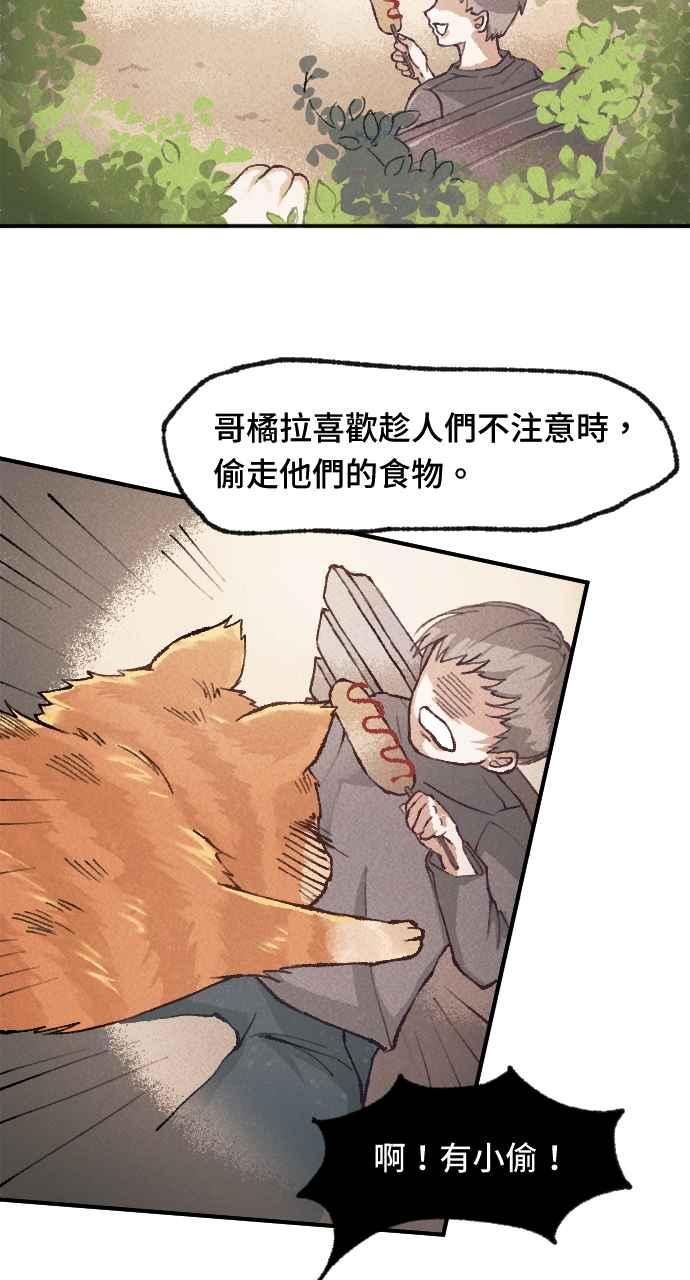 第41页