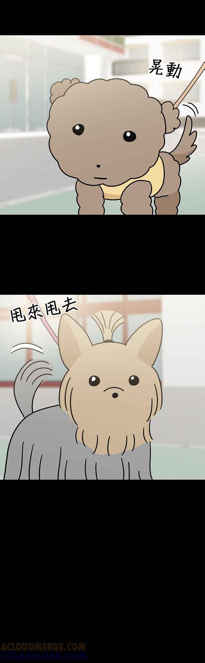 第41页