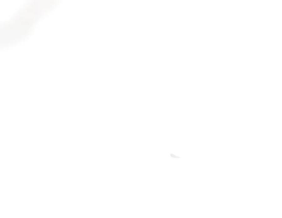 第196页