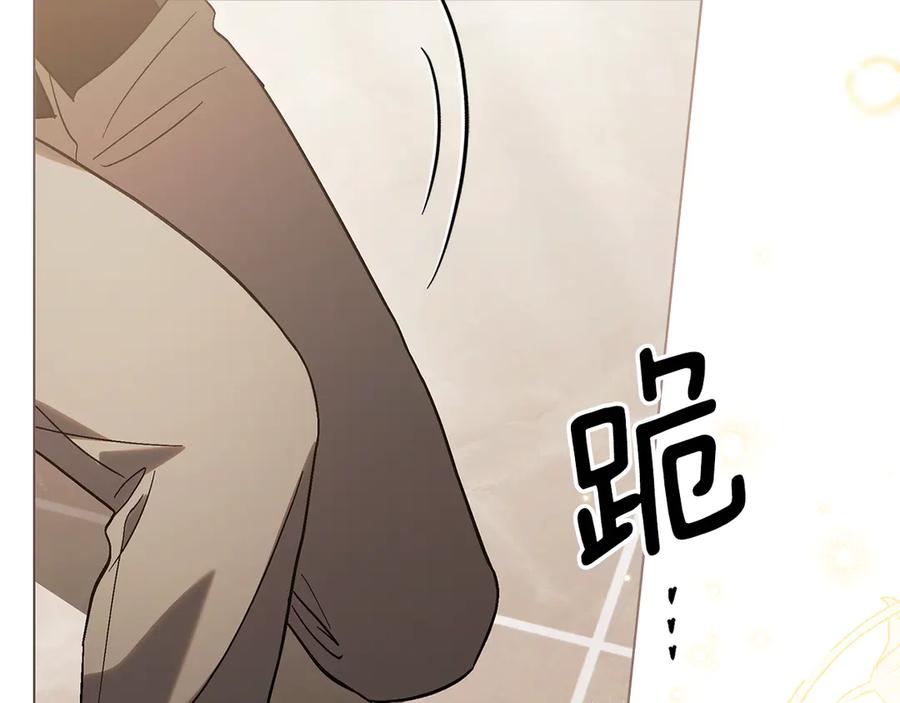 第246页