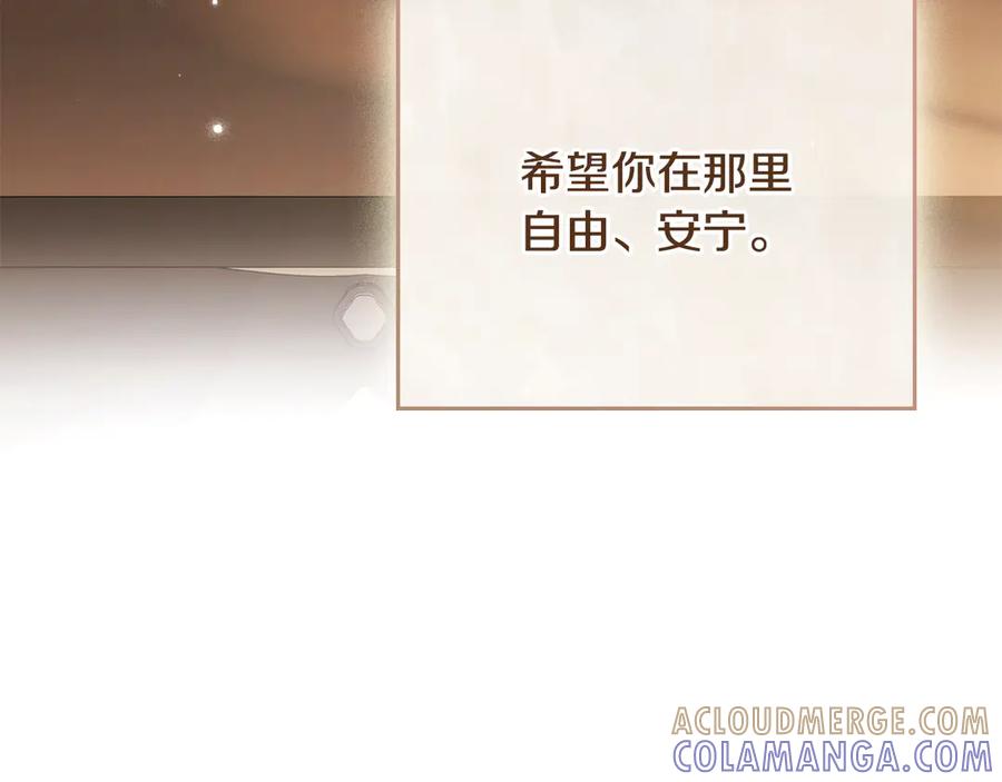 第217页