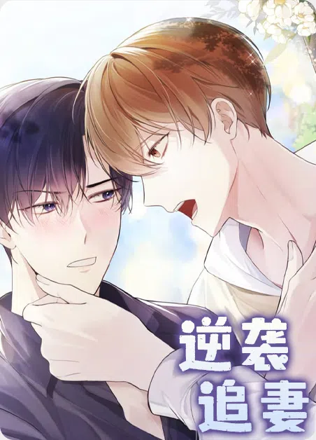 逆袭追妻