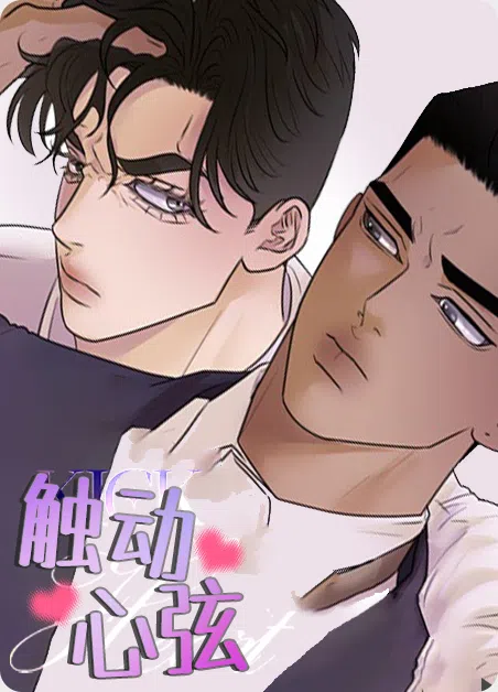触动心弦
