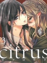 citrus 柑橘味香气_h