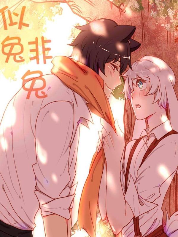 似兔非兔