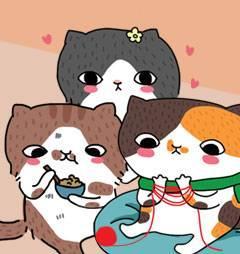 拉查花三猫日常生活